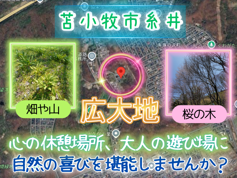 字糸井446-24