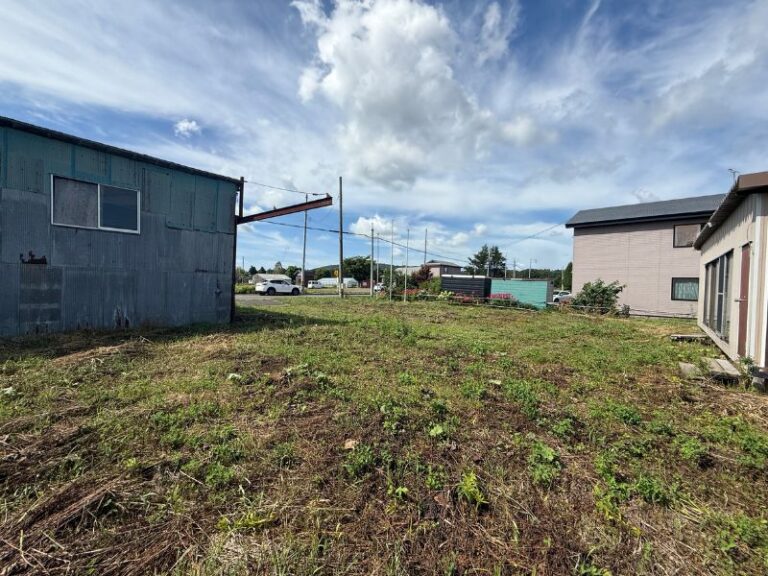 安平町安平207、208土地 (10)